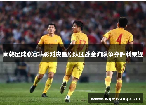 南韩足球联赛精彩对决昌原队迎战金海队争夺胜利荣耀